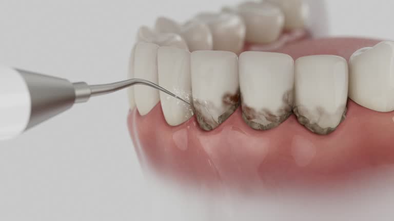Trusted Emergency Dentist service in Montgomery, MN - Dentist Open Now